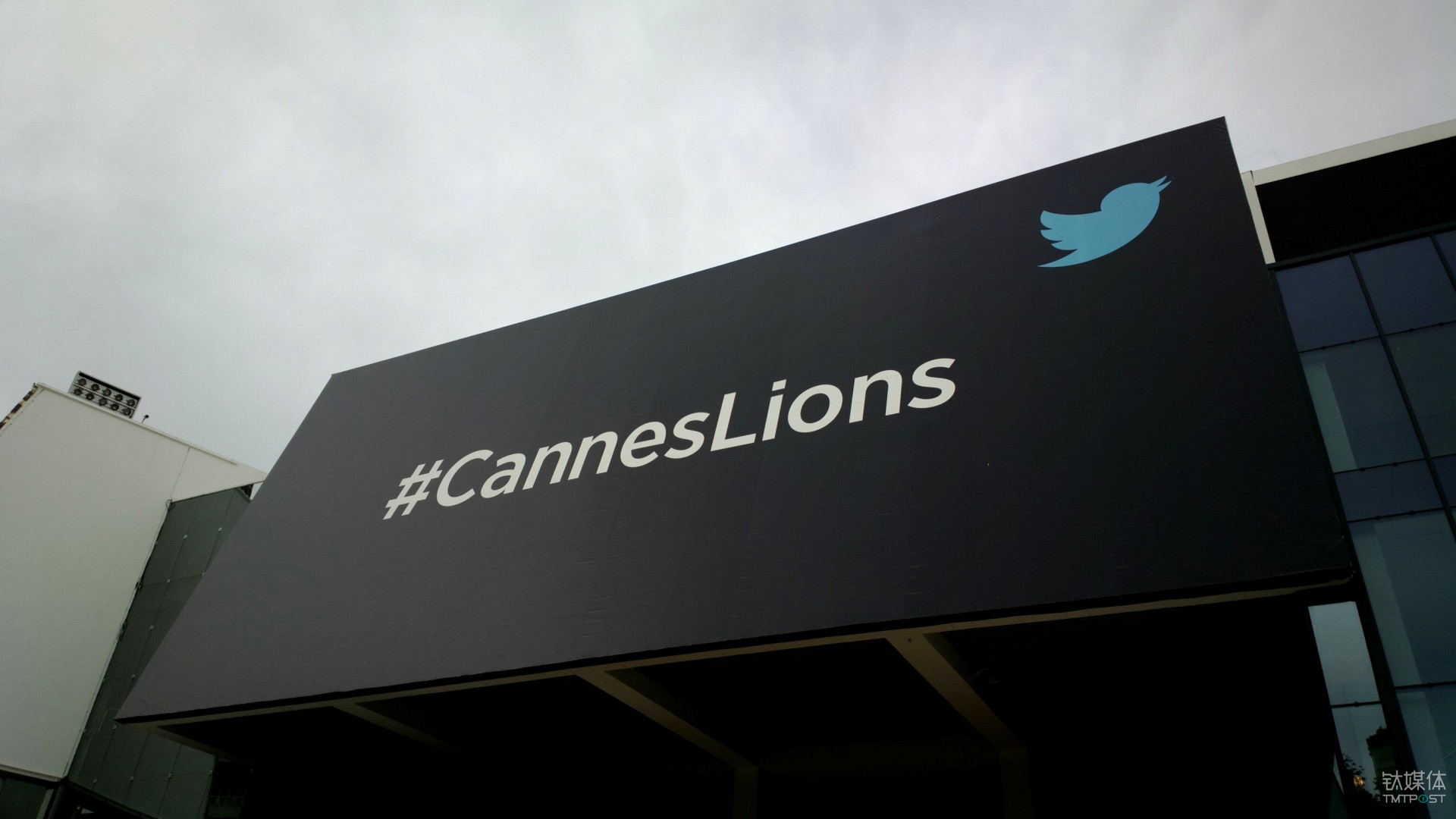 “新物种”互联网公司，如何驱使广告创意人开始自我革命 | 钛度专访