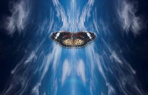 毒舌电影被封之后，各大内容平台的悲喜各有不同