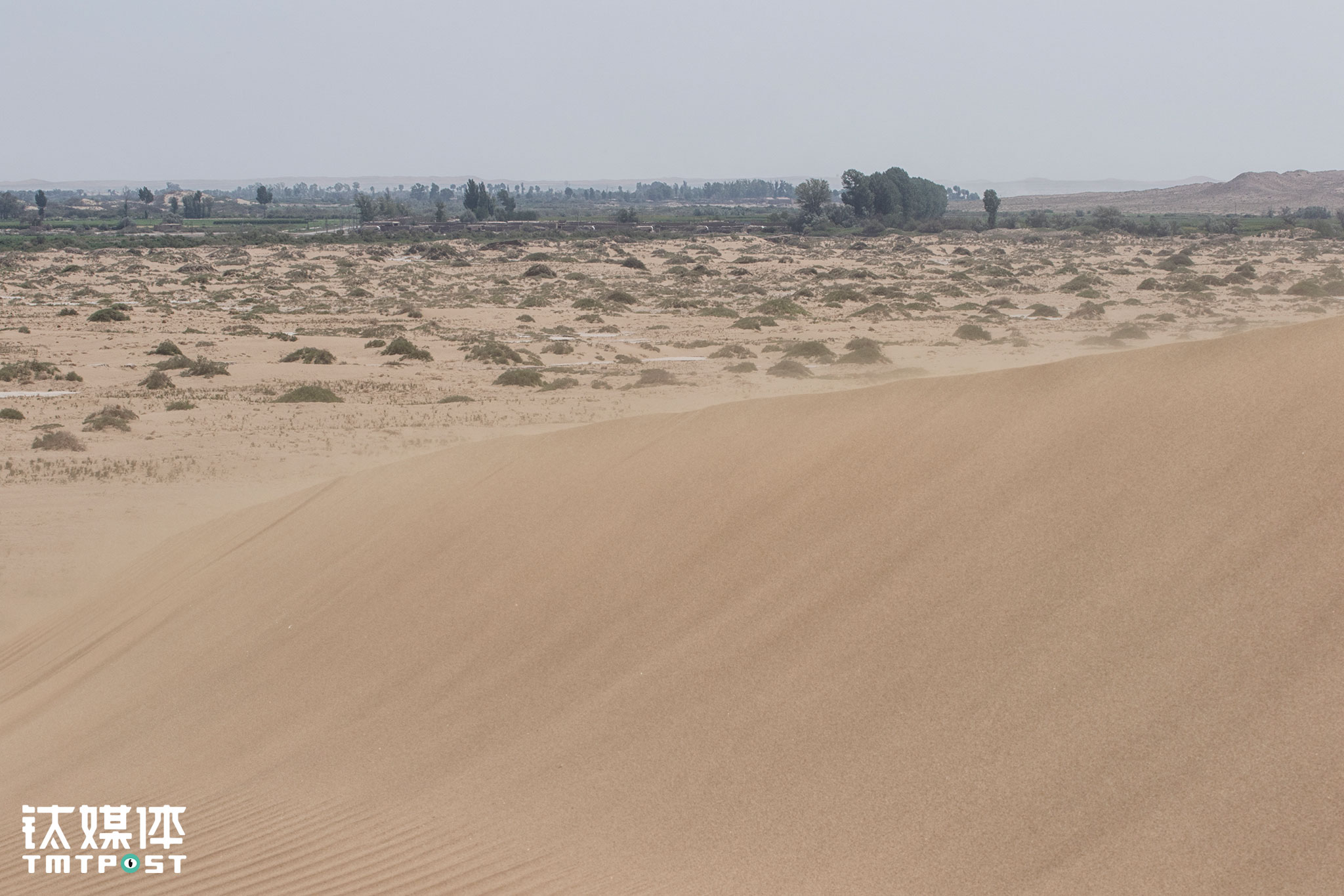 甘肃民勤县礼智村位于腾格里沙漠边缘，这个干旱缺水的西北村庄，有大约一千人口，村里青壮年大都外出打工或举家搬离，留下的大都是50岁以上的人，他们守着这片土地，春种夏收维持生活，支持着在城市求学、置业的年轻人。