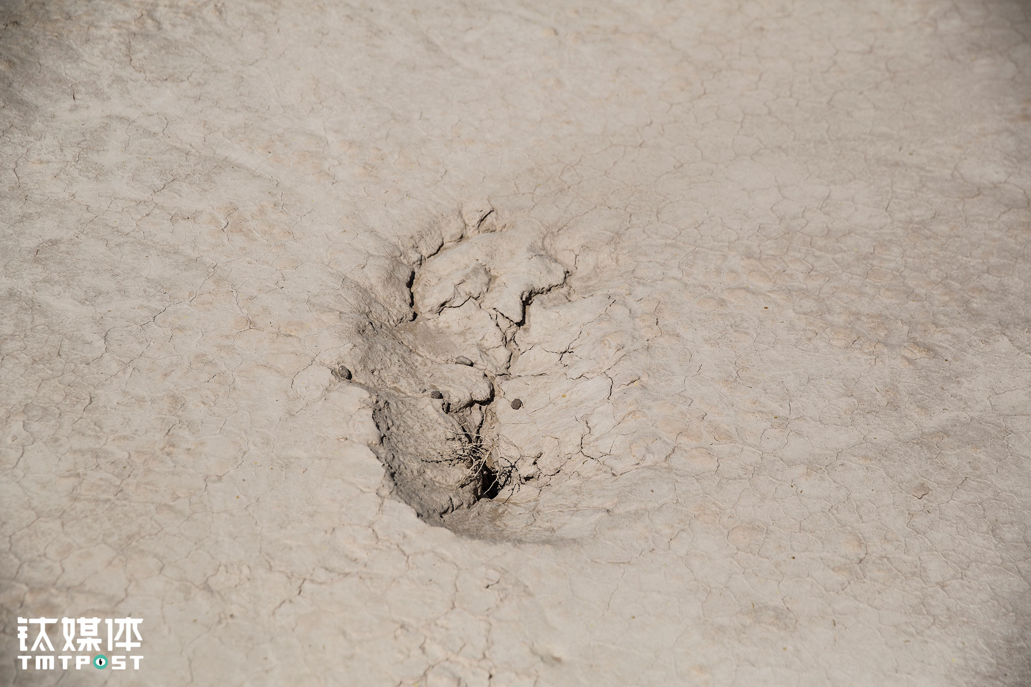 为了保证农作物用水，村民们在村里集资钻了井用于灌溉。在这个人们一个月也洗不了一个澡的干旱村庄，水资源异常珍贵，首要用途也在庄稼，而村外跟沙漠一路之隔的植树带，很多政府拨款人工种植的防沙植物却因缺水而成片枯死。对村民来说，地下水十分有限，庄稼、牲口、人的用水都顾不过来，没有人会挑着自己花水资源费买来的水去灌其他&ldquo;不相关&rdquo;植物。