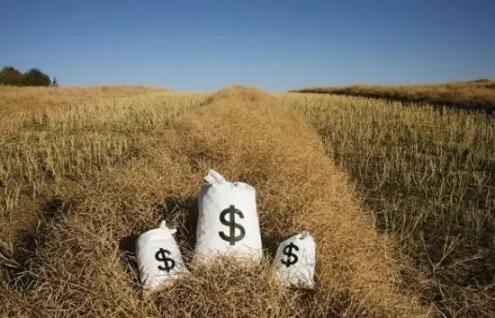 遍地都是“拦路虎”农村金融，如何开拓出一片蓝海？