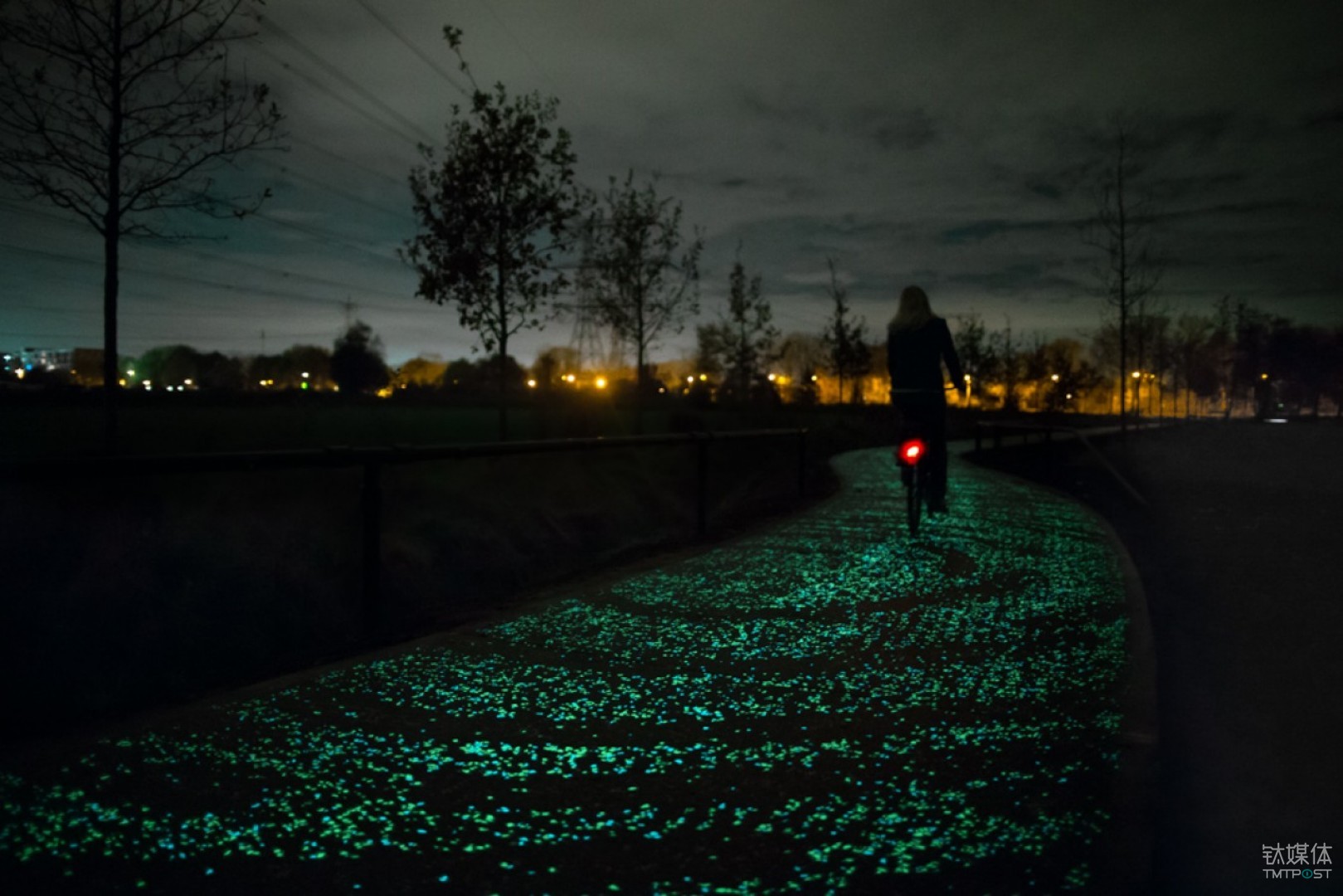 的。图片来源/罗斯加德工作室