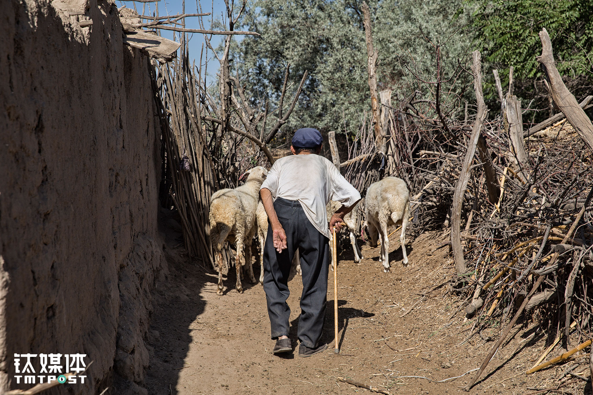 Lizhi Village. An old man was rounding up his sheep back to the house. Like in many undeveloped villages, this village also suffers from the loss of young labor. Farming is difficult and tiring while making little profit. This makes young people choose to work in cities, leaving old people behind. It&rsquo;s actually quite rare for people as old as Li Sheng&rsquo;s father, who&rsquo;s 67 years old, to work in the field now.