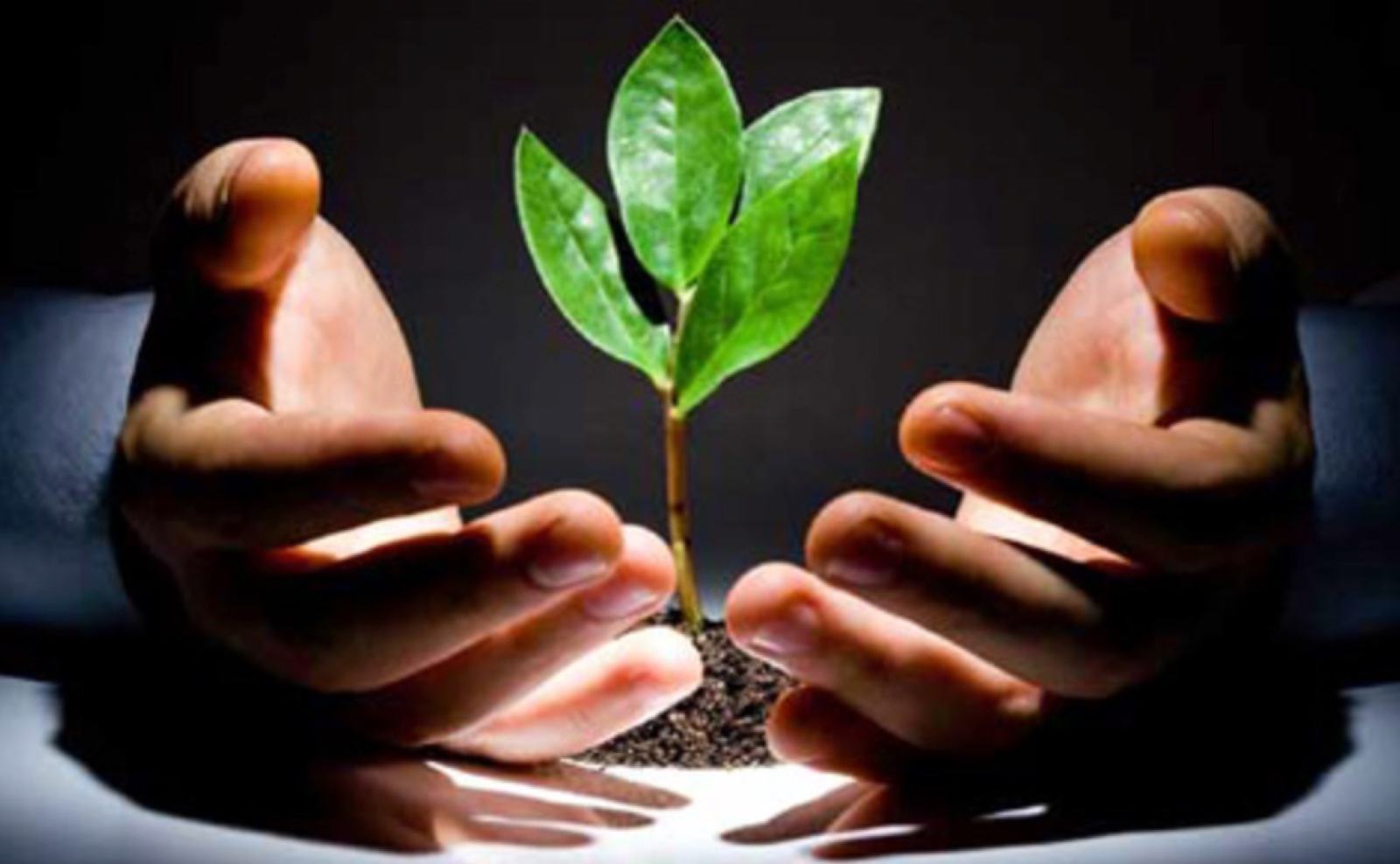 草根创业的黄金时代已经过去，你会成为那个百分之一吗？