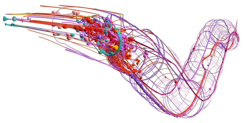 60位程序员研究三年，只为创造一只活在乐高上的蠕虫