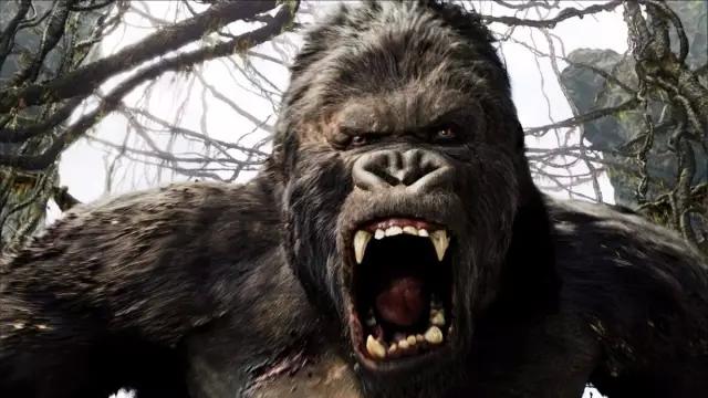 从金刚到猩球崛起全球追猩80年背后的电影工业革命史