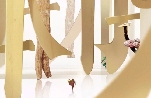 “走心”的纪录片，《本草中华》取得了年轻人的认同