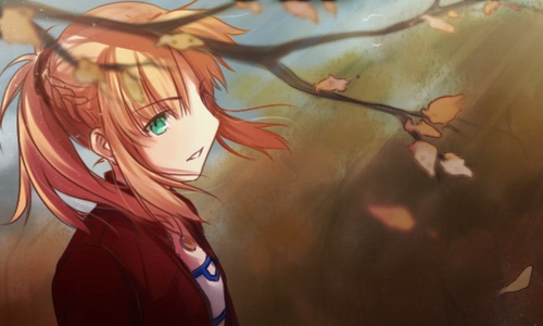 23岁就脱宅，二次元可能要成为“大龄”用户的精神坟场