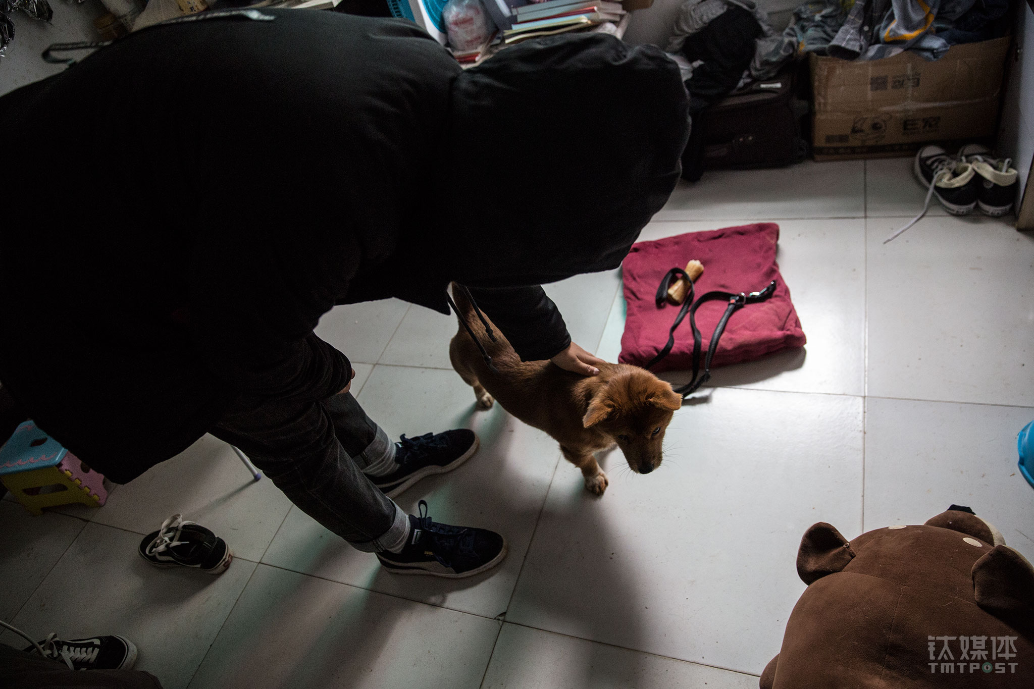 为了养狗，今年小敏跟同学在校外合租了一间房子，房租300元每月。租房养狗，小敏曾和父母商量，父母极力反对她这样做，&ldquo;你一个学生，有宿舍不住，还养狗？&rdquo;父母反对，小敏并没听。她说自己并不后悔花钱给狗看病，如果回到最开始，她还是会给这只狗治病，&ldquo;花钱我也会治，但我一定会跟父母好好沟通，取得他们的支持&rdquo;。她很喜欢狗，梦想着有一天可以成为一名宠物美容师。