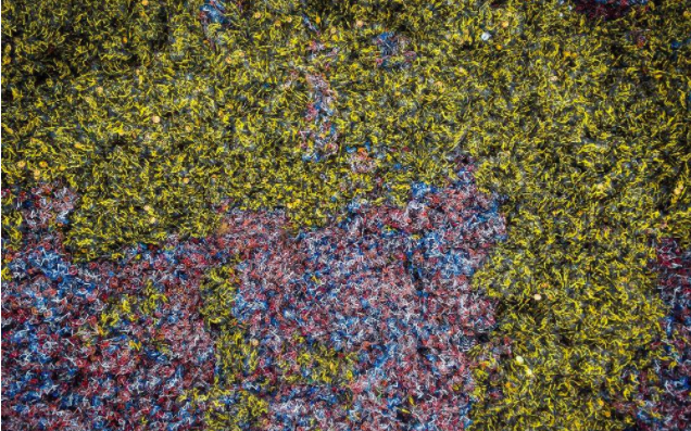 胡海泉评价“共享单车堆积成山”：风口背后是巨大的社会资源浪费