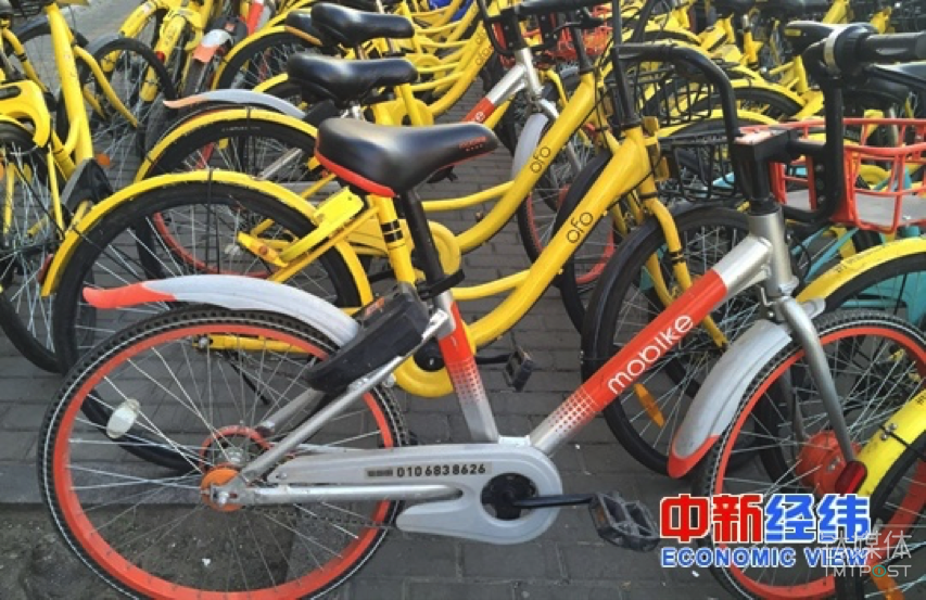 路边停放的共享单车。中新经纬 刘虹利 摄