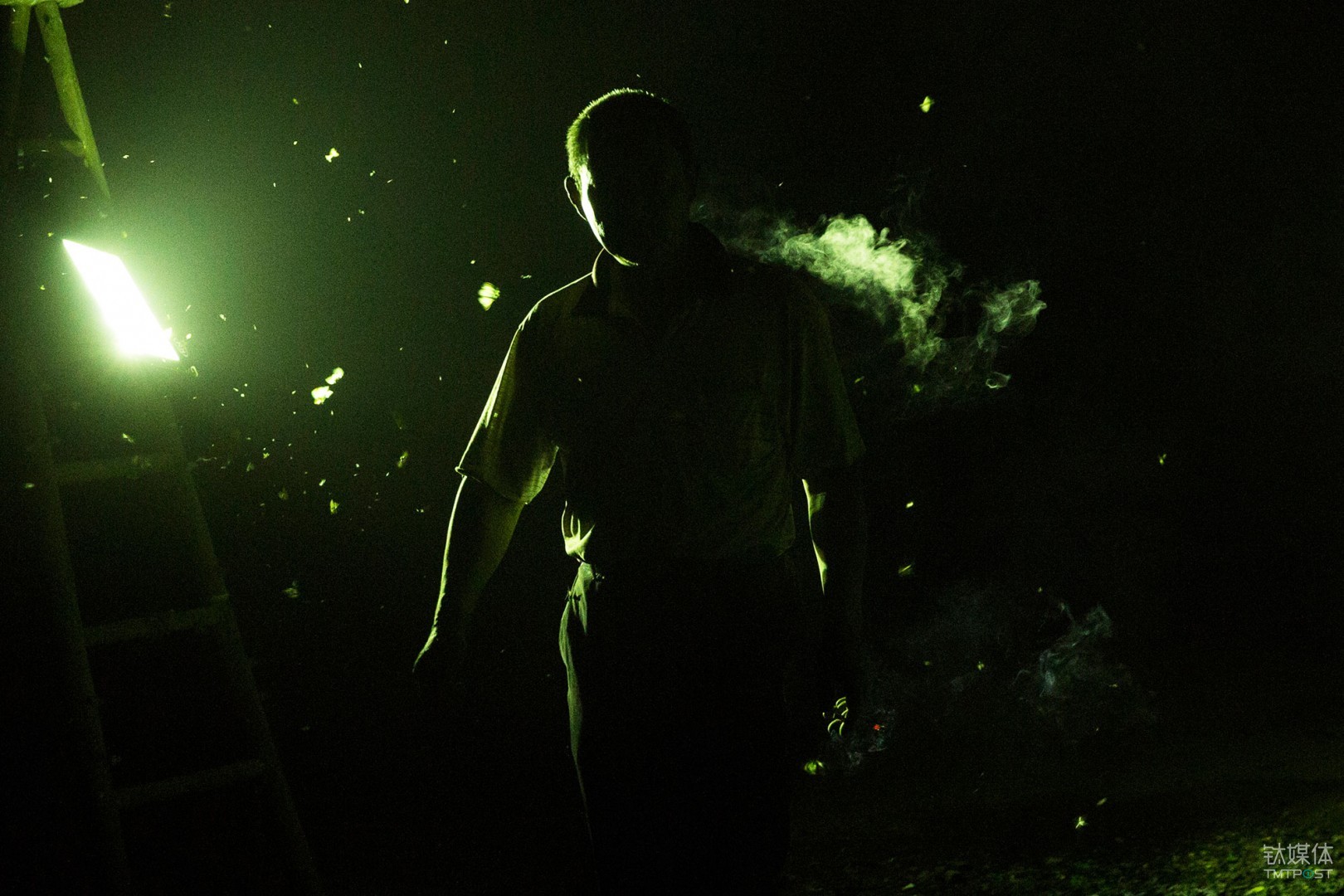 连夜赶工。湖南，工地苗木工人加班加点工作，灯光下聚集着大量飞蛾。