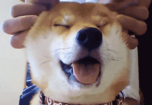 2018年迎接我们的,是阳光与大海,是生命中的小确幸