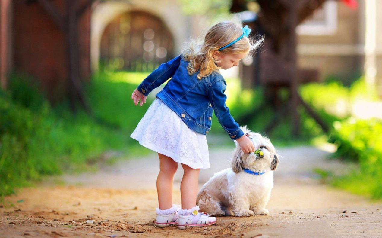 要让人类听懂动物的语言，AI还需克服哪些难题？