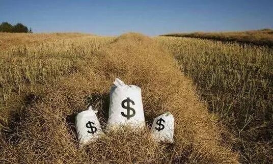 农村金融，一场九死一生的游戏