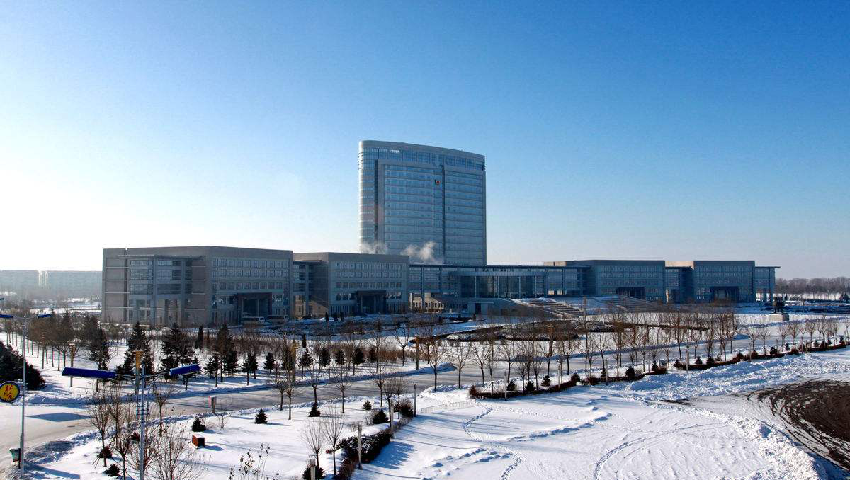 逐渐消失的东北互联网：回到家乡，才是到达笼子之外