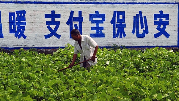 回乡偶记：电商、移动支付、短视频，小山村里一个都没少