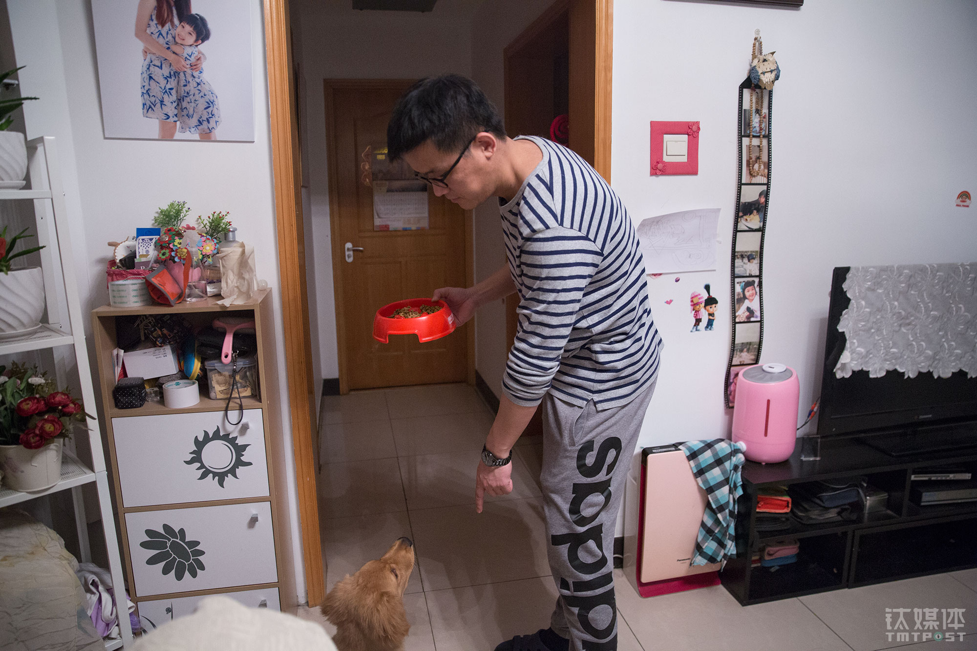不到一年时间，老徐9岁女儿跟Summer建立了深厚的感情，但是Summer的病无法根治，它能否不出意外地活下去还是个不太确定的事情。老徐担心Summer在某天突然病发离世而让女儿太伤心，他在春节前抱养了另一只小狗，一只金毛，他还为它取名“多宝”，意为“家里多了一个宝贝”。图为老徐准备给多宝喂食。