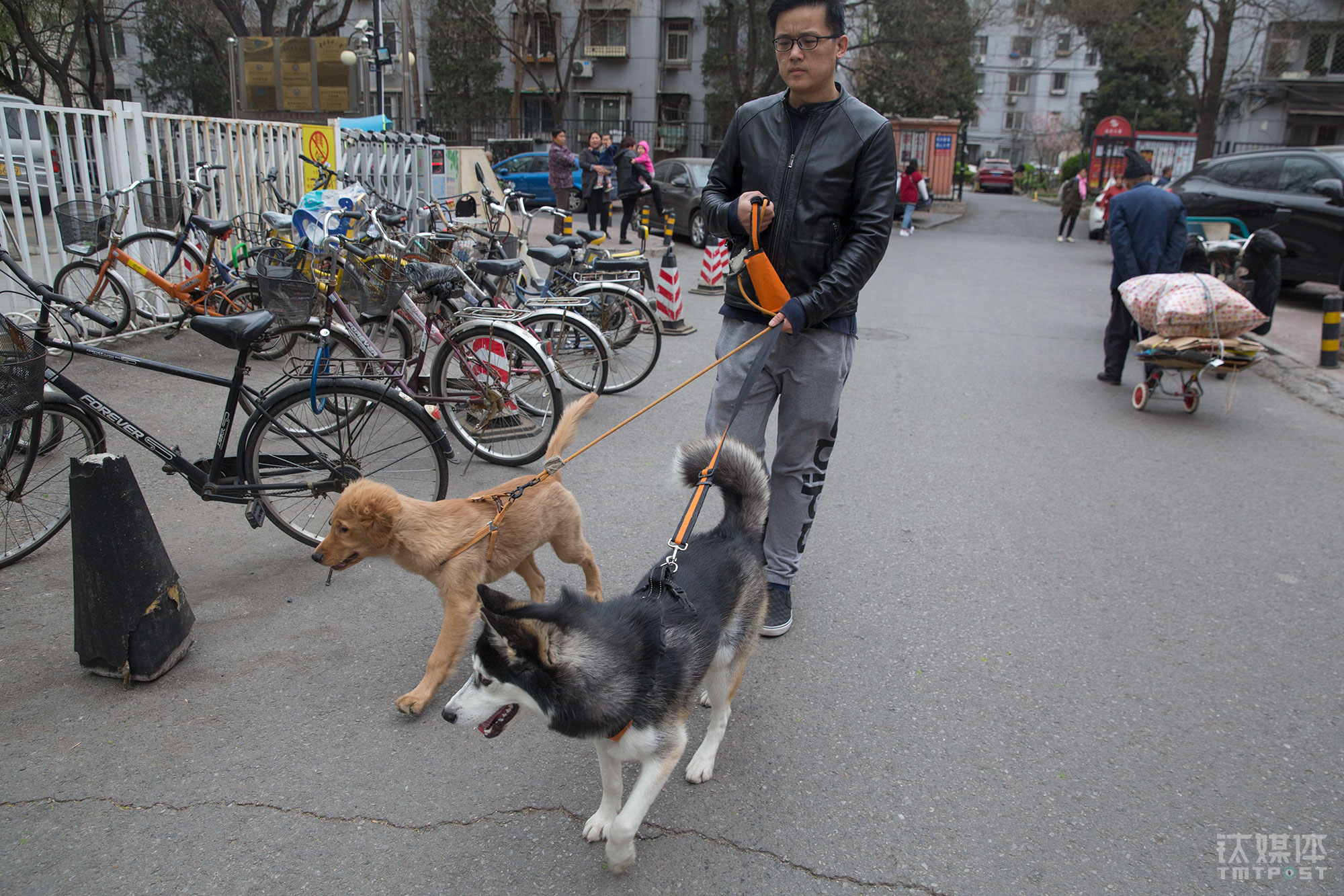 只要天气允许,老徐每天早上或者晚上都牵着两只狗下楼活动.