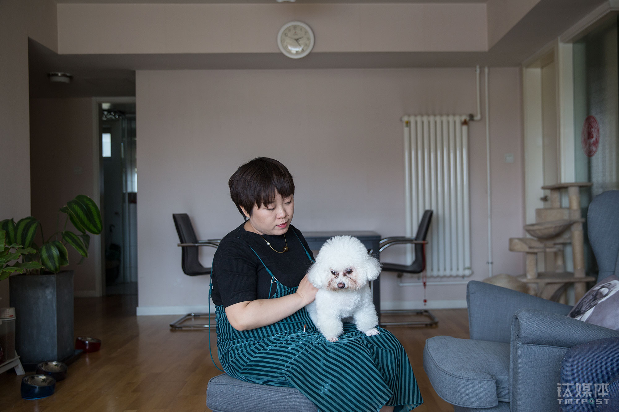 给宠物买保健品，究竟满足了谁的需求？