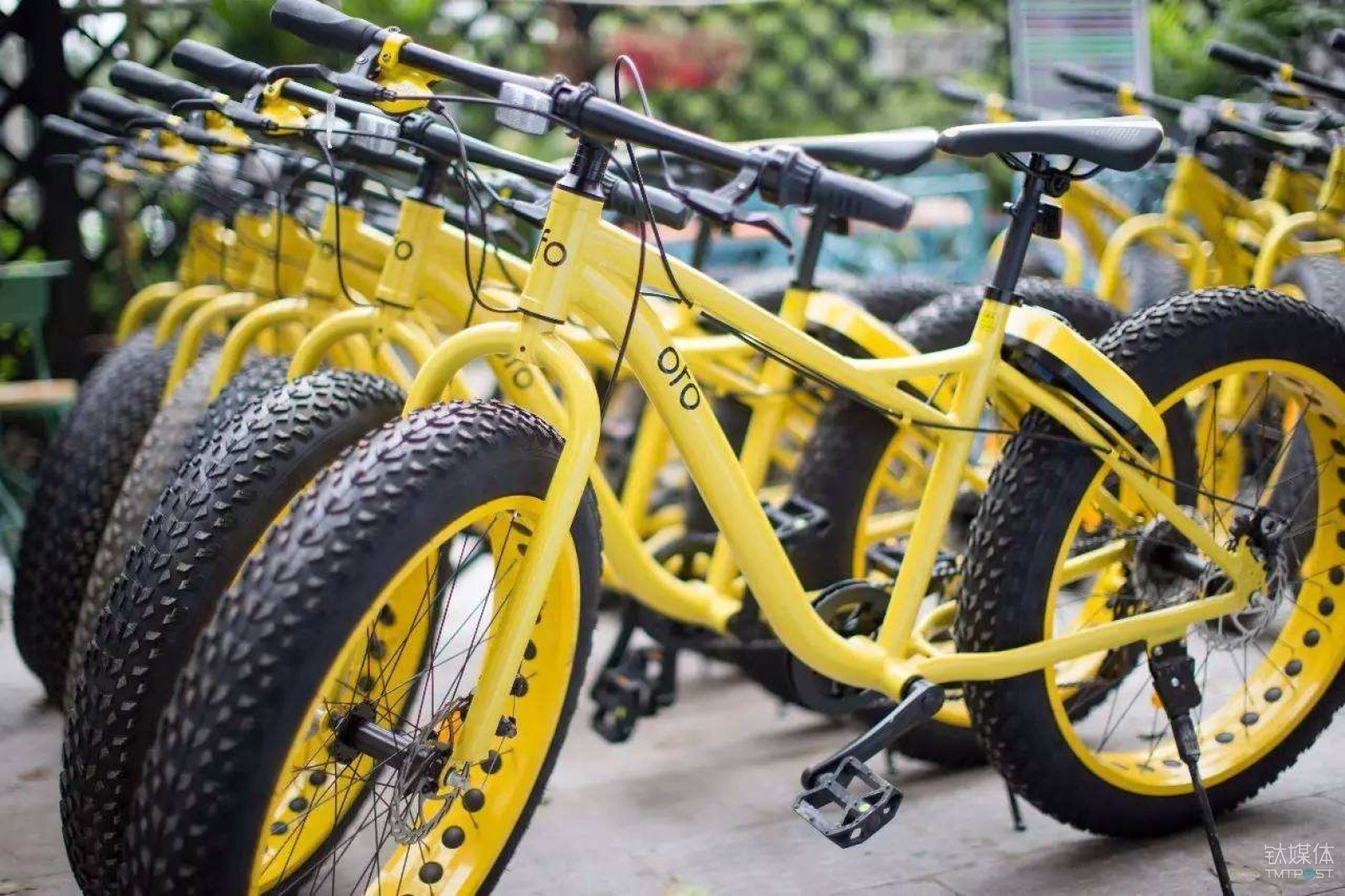 ofo 回应被滴滴收购传闻：消息不属实，将保持长期独立发展