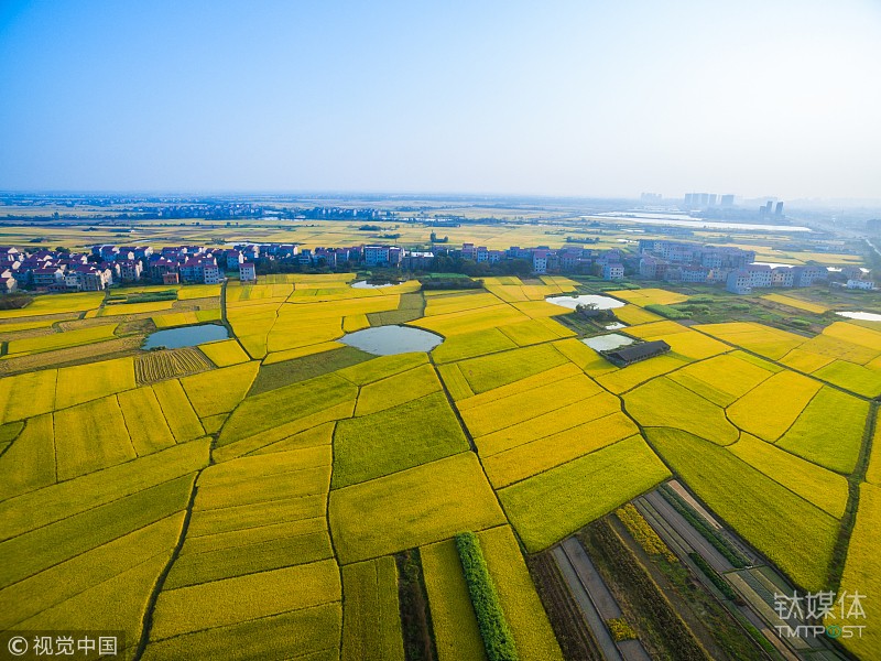 AI公司进入农业找场景，「麦飞科技」的第一步是帮农民节省农药钱