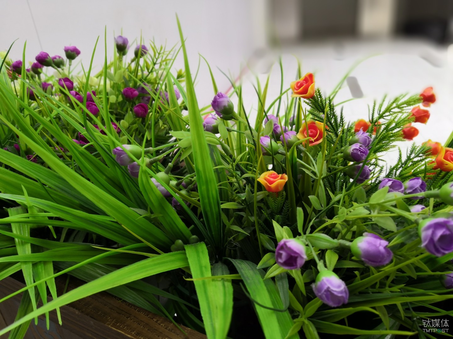 荣耀Play花草样张：焦距：27mm 光圈：f/0.95 快门速度：1／100 s ISO:80