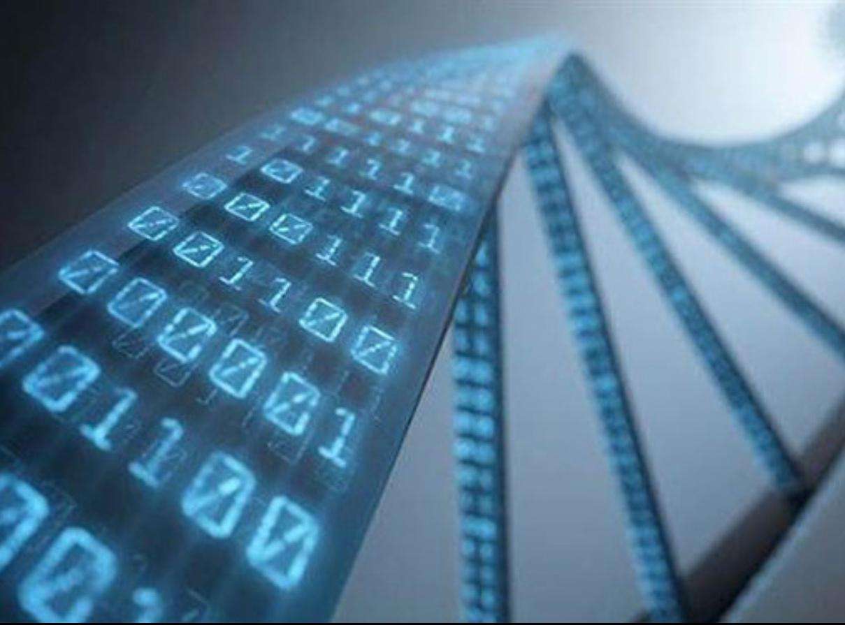 美警方用商业基因库抓罪犯，你的DNA信息还安全吗？