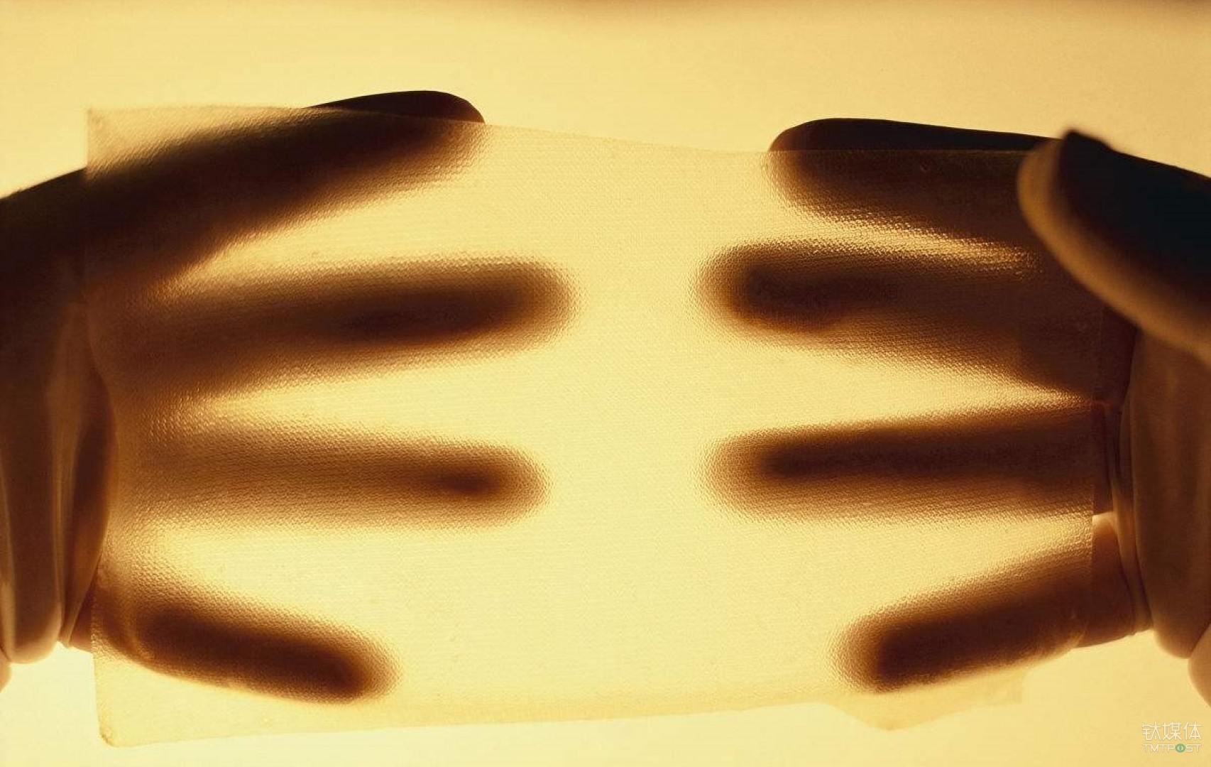 人造皮肤有了“感觉”，人造神经系统还有多远？