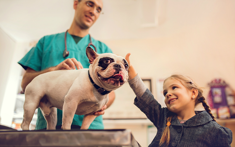 “它经济”兴起，智能宠物医疗还需要沉淀