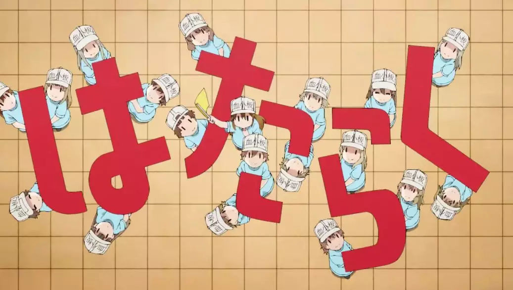 《工作细胞》大热，科普动画之路应该怎么走？