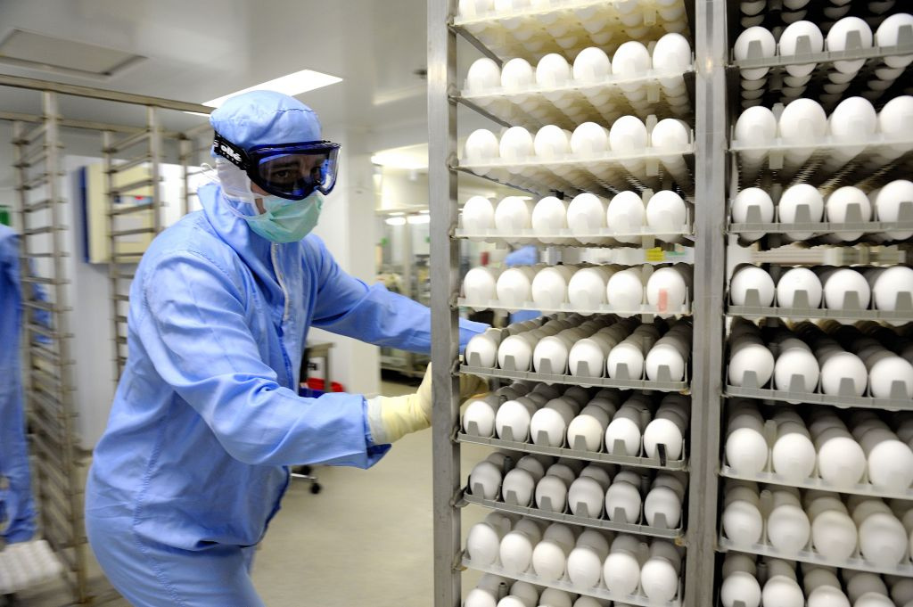 印度是如何成为“药神”的