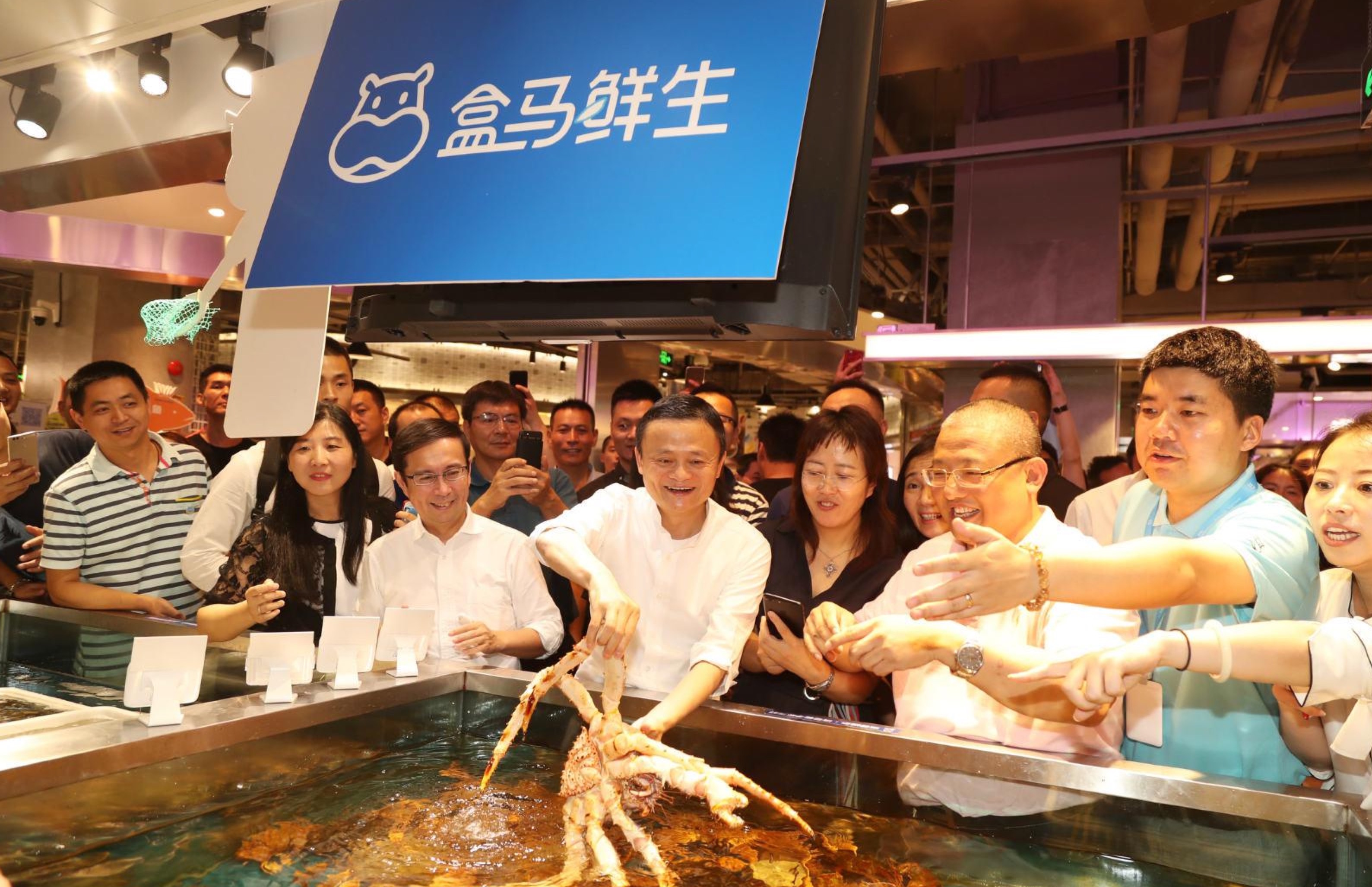 永辉股价狂跌，反思盒马鲜生和新零售，是阿里给行业挖的大坑？