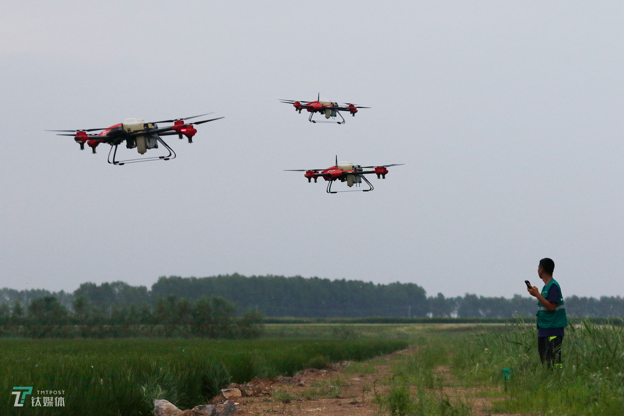 任维新向钛媒体《在线》展示同时操控三台植保无人机。最多的时候，他每天要完成100垧（15亩=1垧）地的喷洒作业，为此他雇佣了两名帮手，但还是忙不过来，农户通常需要提前两天预约。