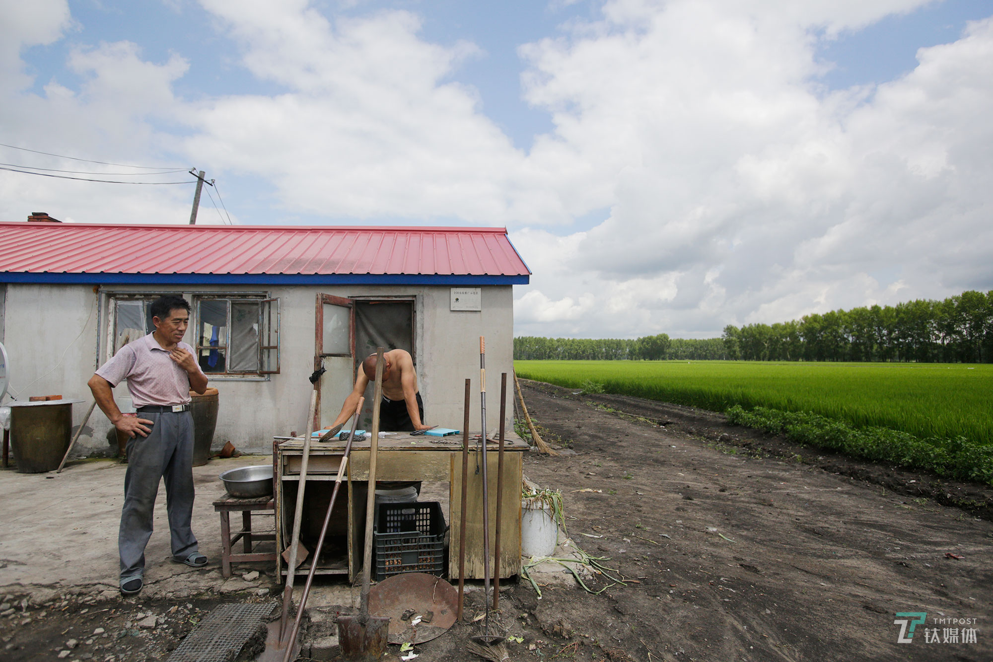 任维新的大伯是个老农民，他在自家这块地里干了13年了。他觉得自己这个职业很难有接班人，年轻人没几个愿意种地，也没有人愿意学农业技术了。有飞机以前，他都用背负式的喷壶下地打药，&ldquo;以后只能机械化，人工越来越高，年轻人也不愿意来卖力气了&rdquo;。