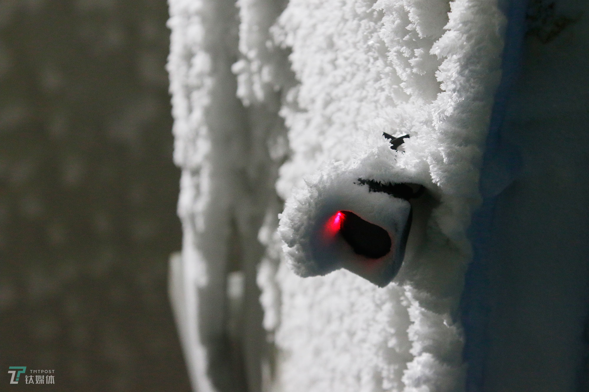 厚厚的冰雪覆盖了冷冻区大门的监控。