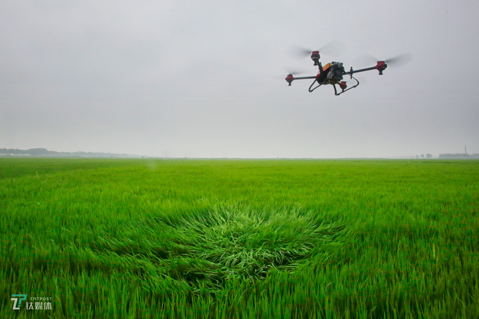 the couple bought the xag drone and surrounding equipment for