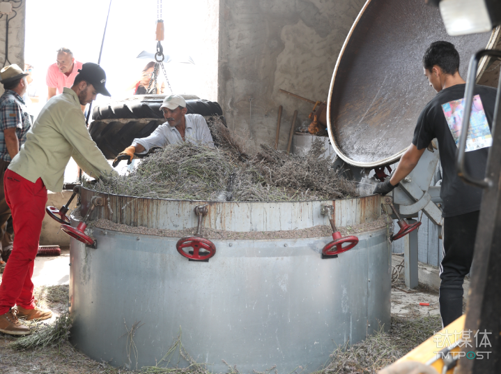工人将薰衣草填入缸内，准备进行蒸馏萃取