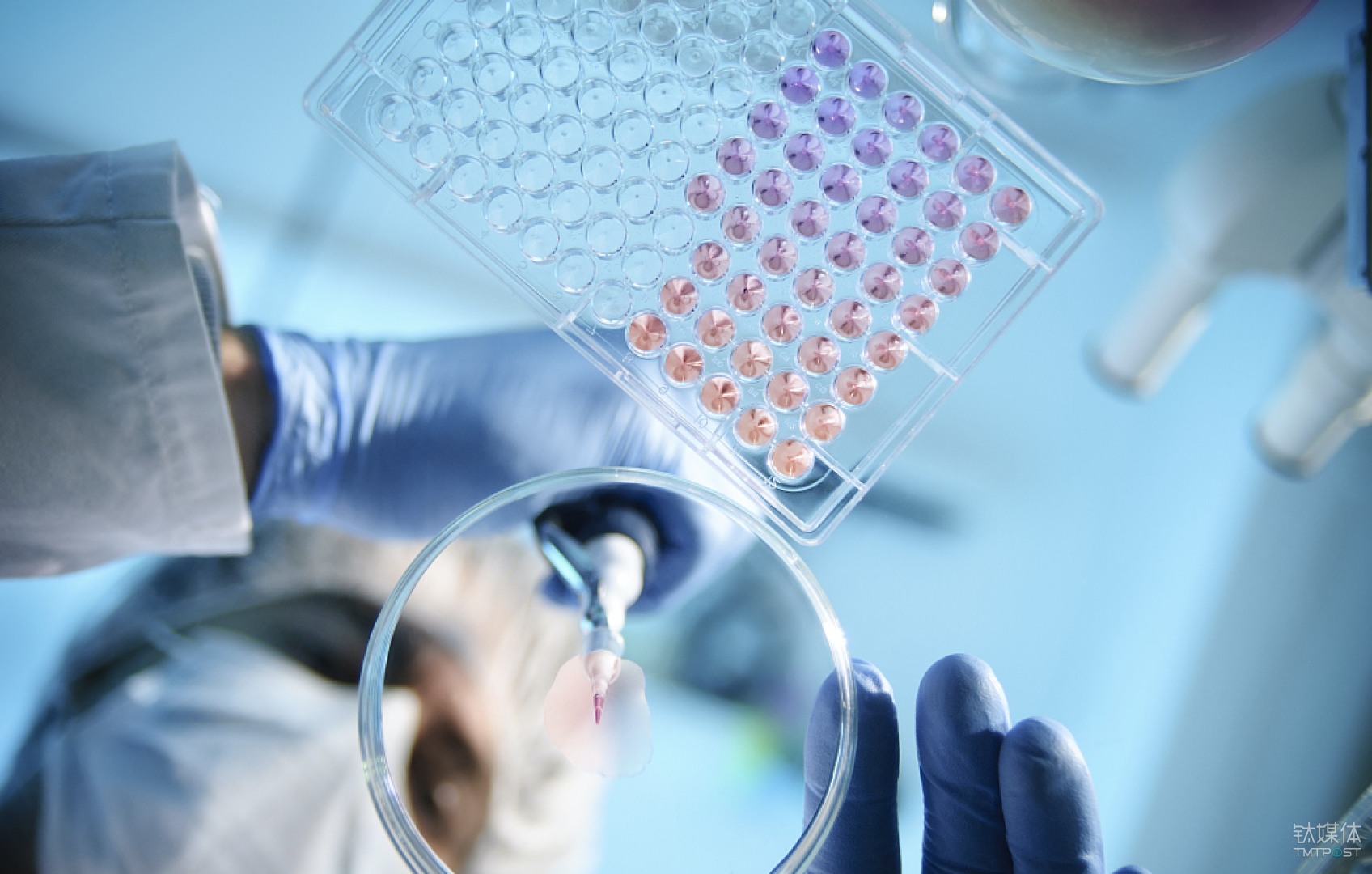 开启个性化医疗时代，“器官芯片”了解一下