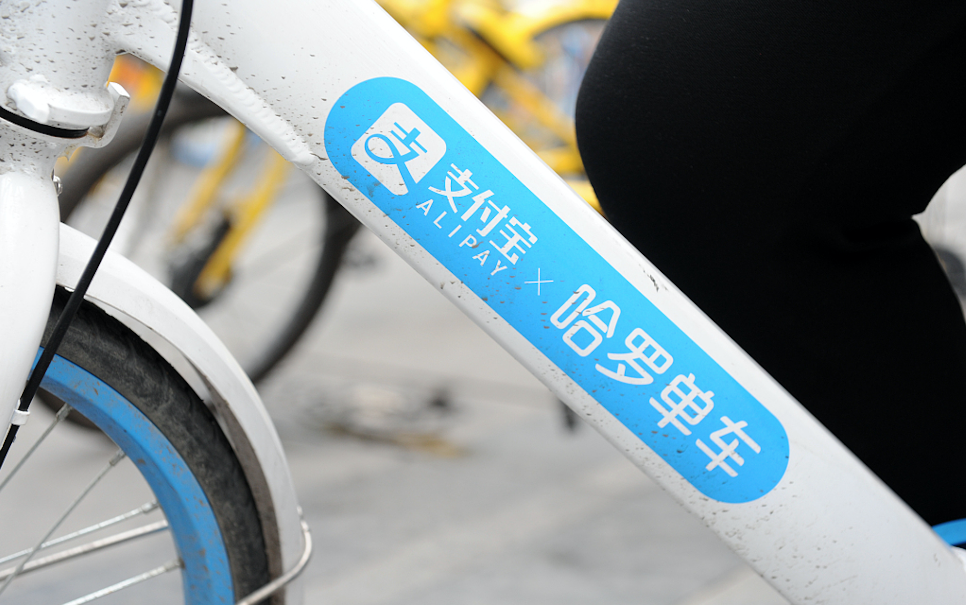 传ofo又要被“卖身”，正与哈罗接洽收购事宜 | 钛快讯