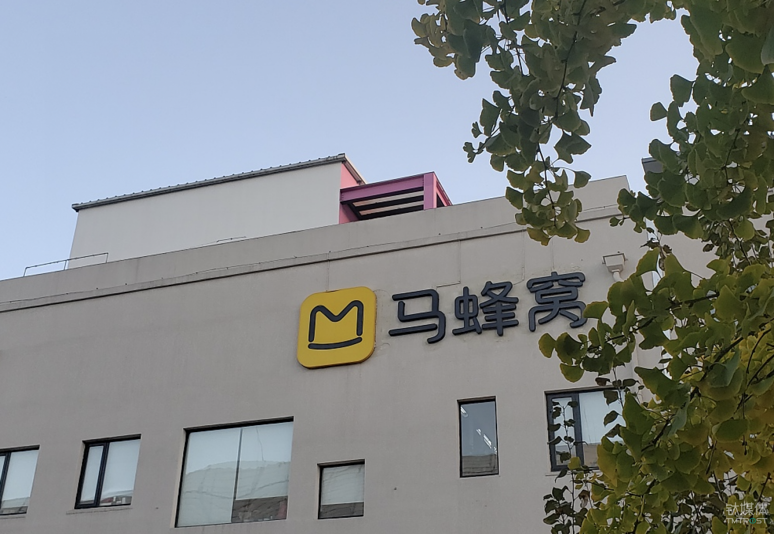 如何捅破马蜂窝?