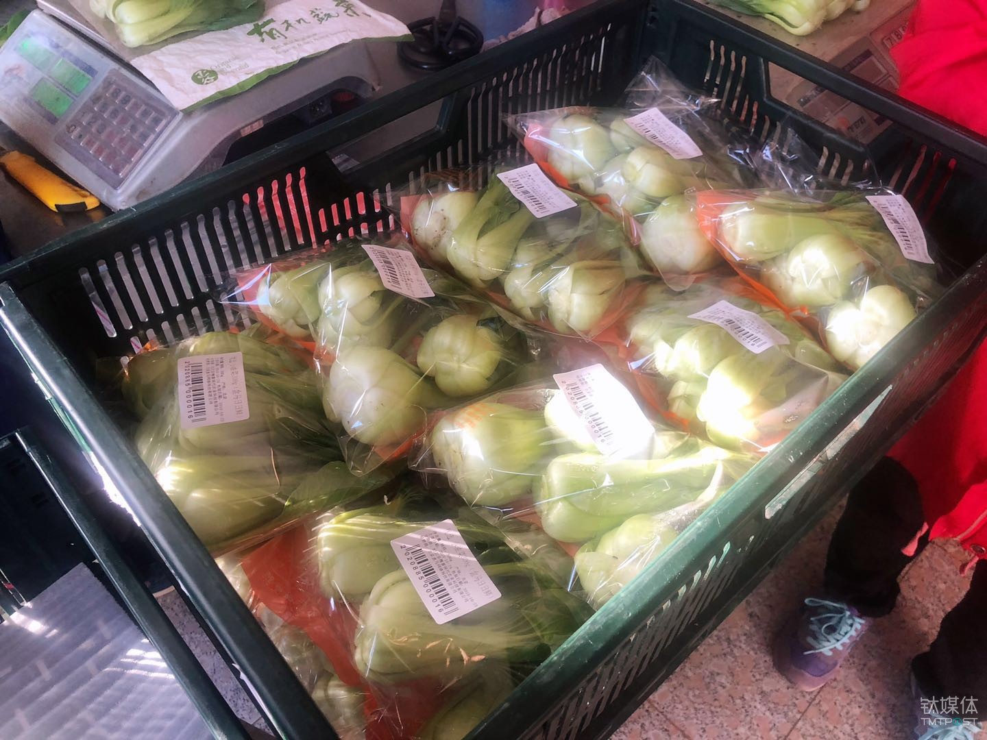 在生产基地打包好的蔬菜