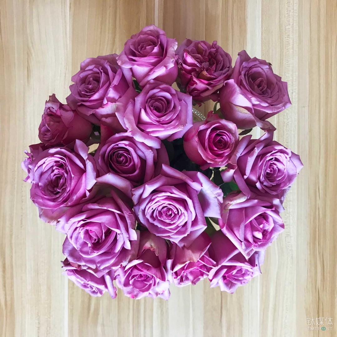 OPPO R17 Pro炫彩实拍样张