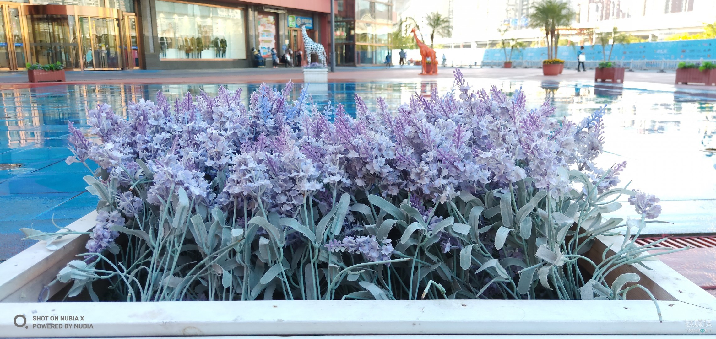 焦距：4.27mm 光圈：f/1.8 快门速度：1/160s ISO：100