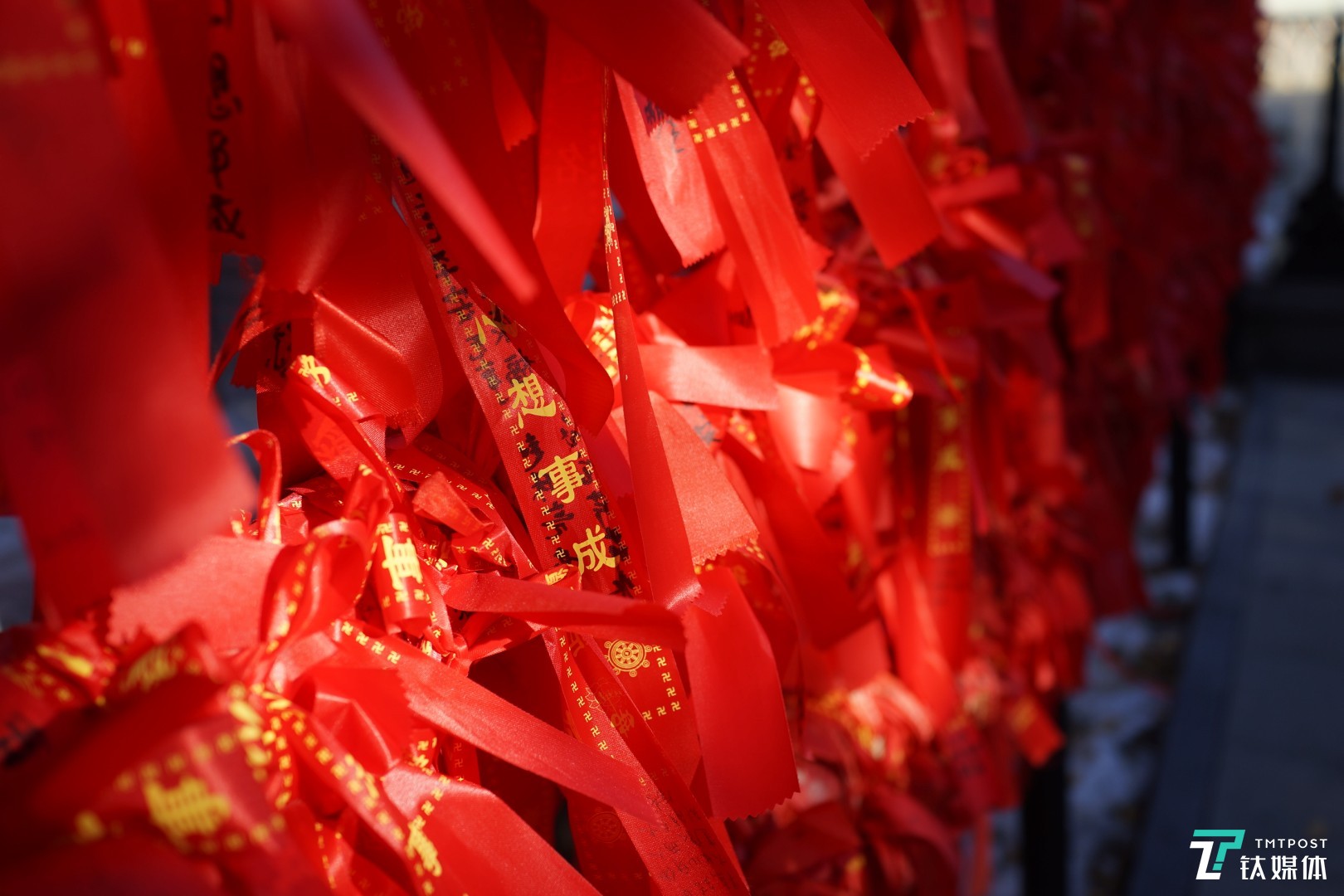 尼康Z7实拍，背景虚化很不错