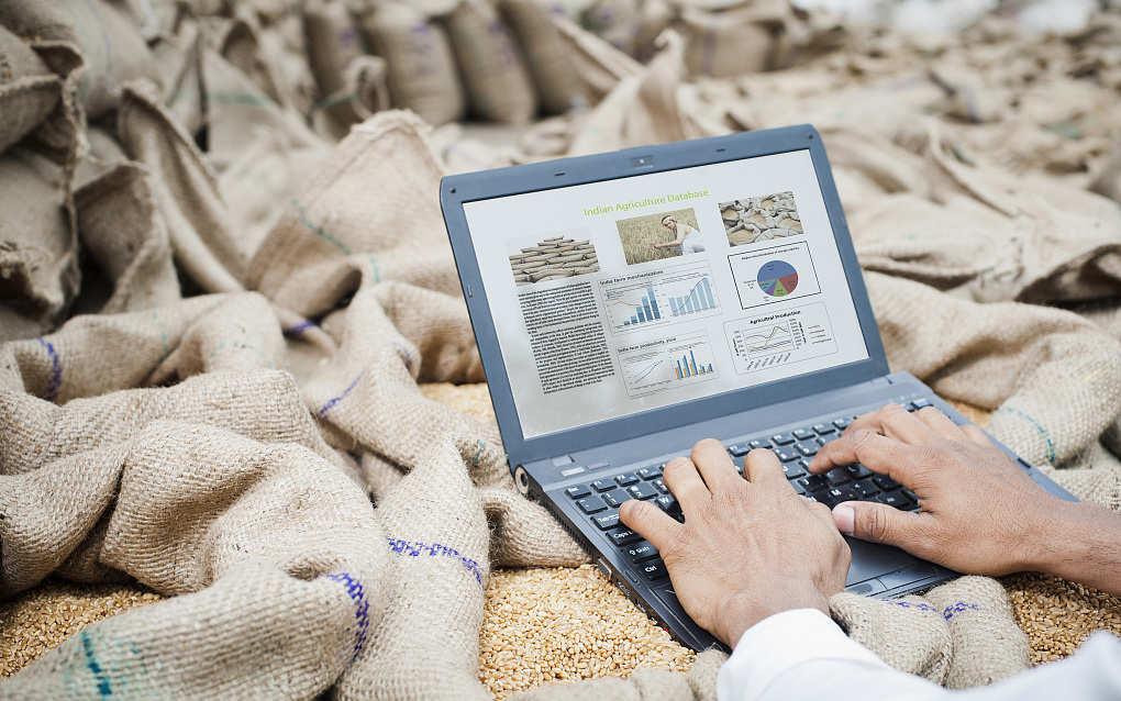 印度独角兽面临多事之秋