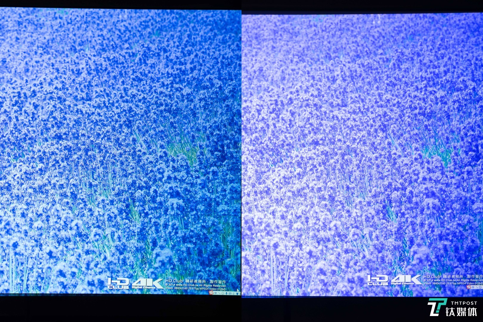 薰衣草图片对比，左为其他产品，右为LUNE 4K