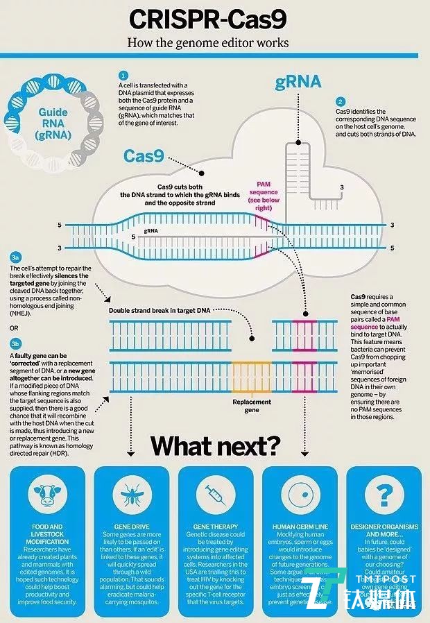 introduction of Source from Wikimedia Commons