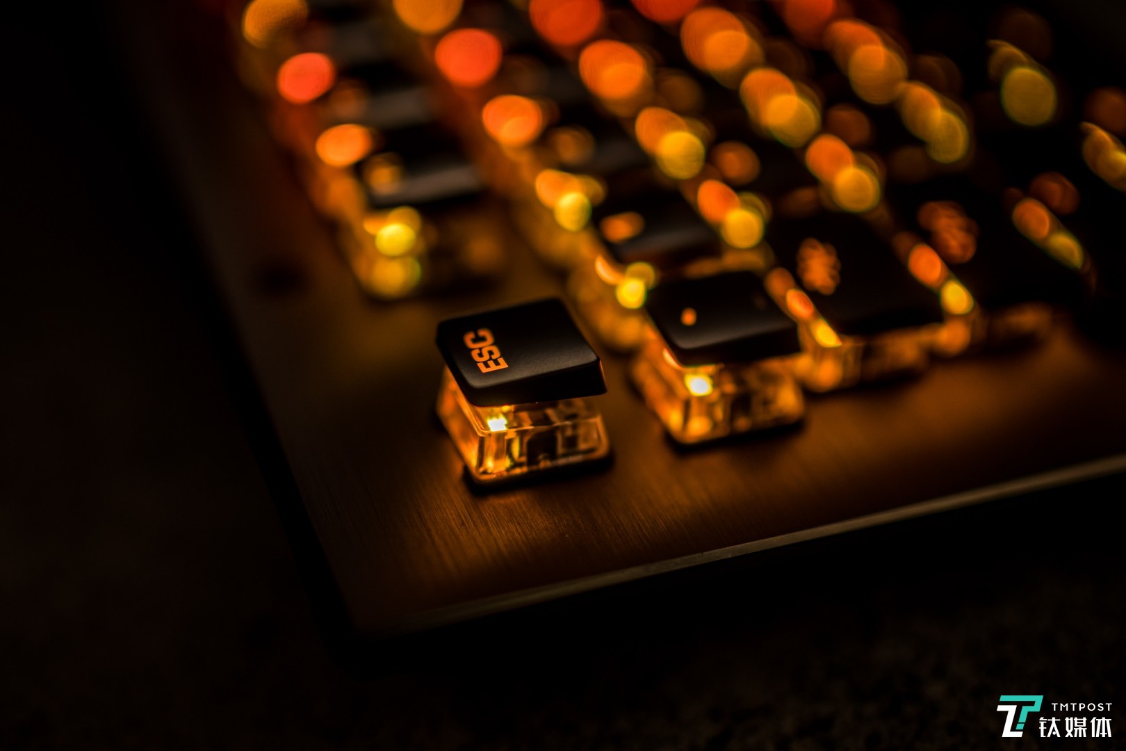 冰豹也成了&ldquo;光污染&rdquo;的一把好手