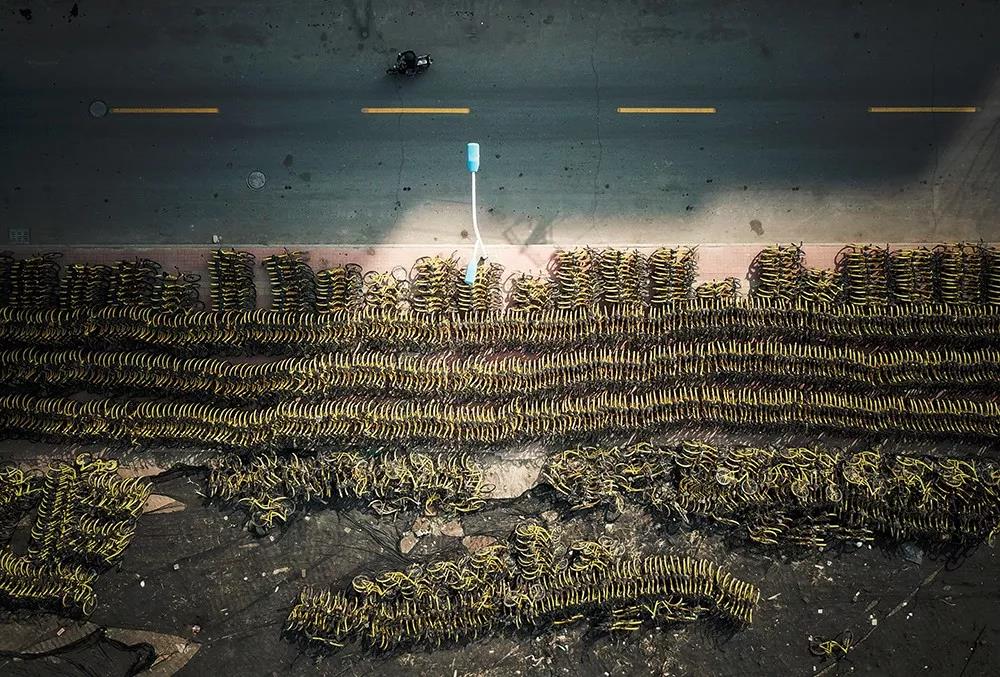 ofo剧中人：我不愿谢幕